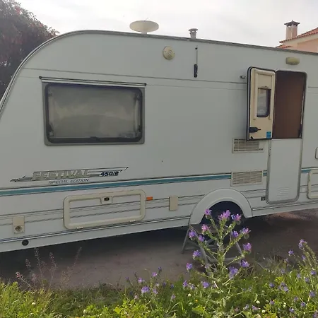 Camping Dan *