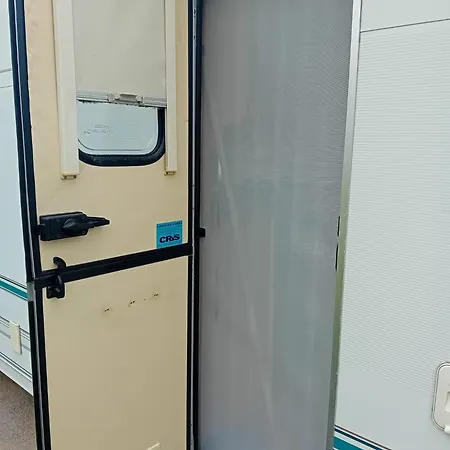 Dan Camping